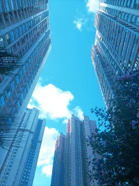 拖延懶惰，是成功路上的絆腳石。
今日事，今日畢，別再為拖延找借口，別再將今天的事拖到明天。
不必害怕困難，任何事情，只有做了才知道結果，只有嘗試了才能看到自己的潛力有多大。
新的一天，早安！配圖