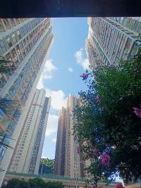 拖延懶惰，是成功路上的絆腳石。
今日事，今日畢，別再為拖延找借口，別再將今天的事拖到明天。
不必害怕困難，任何事情，只有做了才知道結果，只有嘗試了才能看到自己的潛力有多大。
新的一天，早安！配圖
