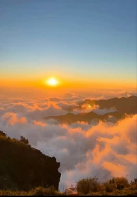 #晚安
在市井中放风，
和小情绪握手，
生活百味自己体会~配图