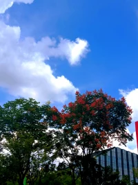 別害怕走彎路，走彎路那才是人生的常態。

世上是沒有什么是一成不變的，也沒有人所走的第一步就是絕對正確。

?配圖
