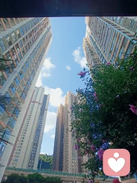 #早安！
村上春樹在《海邊的卡夫卡》里寫到：“當你獨自穿過了暴風雨,你就不是原來的那個人了。”配圖