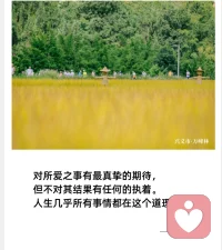 有人朝他扔鮮花，有人朝他扔泥巴，他不接鮮花，也不在意泥巴，他用泥巴種鮮花。配圖