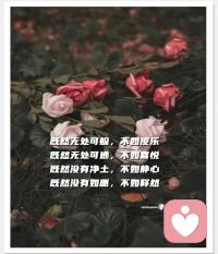 忘掉那些惱人的事并不意味著背叛自己的初衷，
放棄不可挽回的事也并不說明你整個人生從此黯淡無光，
忘記慘痛的失敗，才會有成功的開始。配圖