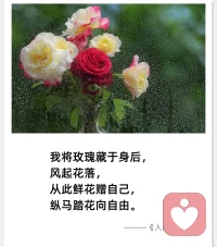 從此鮮花贈自己
縱馬踏花向自由配圖