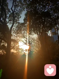 我们总在自己的世界里，拼命地眺望着别人的生活，但有时候你所羡慕的，未必是最好的。配图