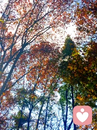 你只需做个岁月拾荒者，拾起生活中的美好，看淡所有的鸡零狗碎，就已经赢了。配图