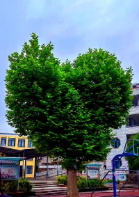 一個(gè)人真正的強(qiáng)大:接受
接受落敗，接受風(fēng)雨；接受不被愛，接受不幸福；接受不完美的自己配圖