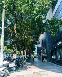 去年種種，盡收時光箱底，封名“2024”。此后種種，且交付于這新年，取名“不辜負”配圖
