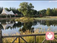 有些人不是離開了就能不愛了，不是不見了就能忘記了，不是放手了就能不痛了。配圖