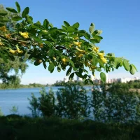 七月，盛夏流年，時光漫漫，終有悅滿～配圖