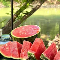 七月，盛夏流年，時光漫漫，終有悅滿～配圖