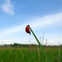 七月，盛夏流年，時光漫漫，終有悅滿～配圖