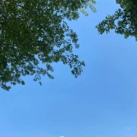 七月，盛夏流年，時光漫漫，終有悅滿～配圖