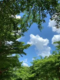 生命正是因为种种的不知道和种种的可能性，才变得绚烂多姿和魅力无穷。早安！新的一天，心的开始，祝每个人都心情愉快地开启美好的一天！☀️☀️☀️配图