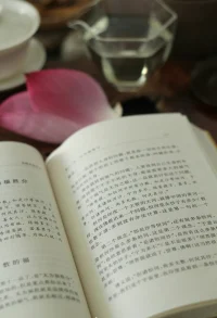 僧問禪師：何為佛？禪師答：一切。僧又問：何為佛心？禪師答：無所隱藏。僧說：我不明白。禪師道：你錯過了。讀此公案，潸然淚下。無所隱藏，正是精神分析所做之事。然而讓真相呈現的，并不是分析，而是愛的照見。請用最大的善意來呵護孩子無所隱藏的狀態，莫要讓評判裹住他的本心，莫要讓他因受傷關閉心門。關上的一剎那，我們就真的錯過了。配圖