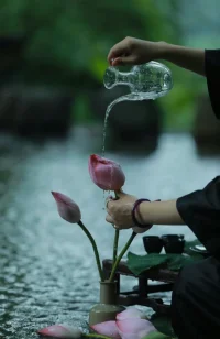 生命的富足來(lái)自獨(dú)處。獨(dú)處意味著生活在當(dāng)下，深入觀察正在發(fā)生的事情。假如我們做到了這一點(diǎn)，我們將不會(huì)被過(guò)去卷進(jìn)過(guò)去，或者被對(duì)未來(lái)的思慮所吞沒(méi)。早安～配圖