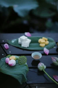 生命的富足來(lái)自獨(dú)處。獨(dú)處意味著生活在當(dāng)下，深入觀察正在發(fā)生的事情。假如我們做到了這一點(diǎn)，我們將不會(huì)被過(guò)去卷進(jìn)過(guò)去，或者被對(duì)未來(lái)的思慮所吞沒(méi)。早安～配圖