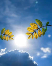 夏未央，秋已至！最是喜歡夏末秋初好時光………愿每個人都可以當事不雜，活在當下……配圖