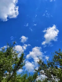 外面的世界無論怎樣的精彩，核心功能其實(shí)只有一個(gè)：用來辨認(rèn)出自己。一個(gè)人的自我無論怎樣的精彩，核心功能也只有一個(gè)：用來認(rèn)知和體驗(yàn)生命。配圖