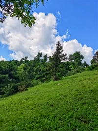 外面的世界無論怎樣的精彩，核心功能其實(shí)只有一個(gè)：用來辨認(rèn)出自己。一個(gè)人的自我無論怎樣的精彩，核心功能也只有一個(gè)：用來認(rèn)知和體驗(yàn)生命。配圖