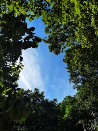 其實(shí)人跟樹是一樣的，越是向往高處的陽(yáng)光，它的根就越要伸向黑暗的地底。——尼采配圖
