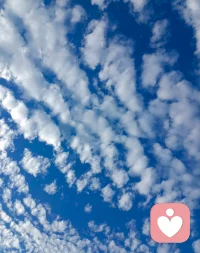 順勢而為，疲時知休，郁時知通，心有靜氣，隨遇而安。??大家周末愉快～～配圖