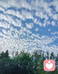 順勢而為，疲時知休，郁時知通，心有靜氣，隨遇而安。??大家周末愉快～～配圖