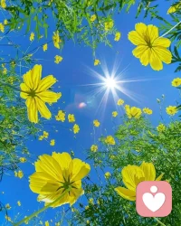 每個人被壓抑的感受，都化作一只「猛獸」?jié)摲谝庾R深處。它會暗暗操縱你的行為，讓生活頻頻“失控”。只有看見并接納自己的內(nèi)心猛獸，才能安撫它，奪回人生的掌控權(quán)。配圖