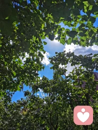 愿這個秋天，心無掛礙，日日晴朗，祝安好！?配圖