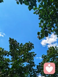 愿這個秋天，心無掛礙，日日晴朗，祝安好！?配圖
