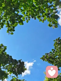 愿這個秋天，心無掛礙，日日晴朗，祝安好！?配圖