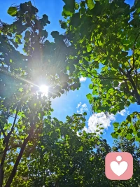 愿這個秋天，心無掛礙，日日晴朗，祝安好！?配圖