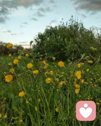 所謂愛，更多的時候，是心疼，是包容，是寬厚，是理解和認同。而非索取、糾纏、想要多少回報。愛到深處，是內心里的柔軟動人，是記得耳后那顆痣、心里那朱砂。是日常生活中只叫你一聲“哎”，是一柴一粥一飯，是手里暖、身上衣。愛，是流年歲月里的細水長流……配圖