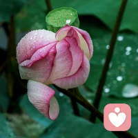 當(dāng)你看過世界，見過眾生，才發(fā)現(xiàn)你要見的世面，是自己內(nèi)心的勇敢和自信；當(dāng)你看過四季，見過風(fēng)云，才發(fā)現(xiàn)你要見的美景，是自己內(nèi)心的淡定與從容。????配圖