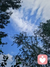 周末，在大自然中走走停停，看著風景，聽著督導課，放松式學習，充實而美好～配圖