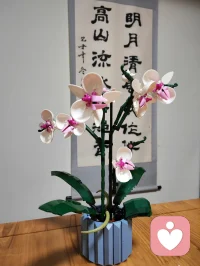 心善，會聚集許多“正能量”，投射的外在世界也會非常美好；心惡，外境就會出現“負能量”，給自他帶來無盡的痛苦。?配圖