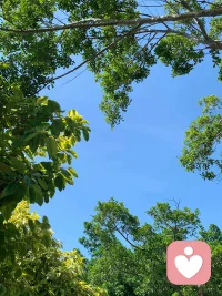 英國哲學家羅素，曾說過，你很多時候發現自己不快樂，是總琢磨自己，琢磨得特別深，太注意自己的情緒，太注意哪兒疼哪兒癢了，太敏感了?？鞓分朗鞘裁茨兀烤褪钦f注意力要向外，不要老向內，老琢磨自己這點情緒問題，是沒有出路的。其實你注意力向外，等于是把你的心量放大了。所謂這個世界，它都在你的心里了。你要是只對你自己，越弄越抑郁越關心自己的情緒問題就越抑郁。配圖