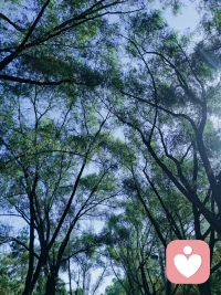 早晨鍛煉，攝入新鮮的氧氣，有助于消化每日新學的知識。大家早安！配圖