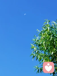 早晨鍛煉，攝入新鮮的氧氣，有助于消化每日新學的知識。大家早安！配圖