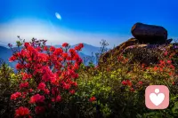 心，是接收器；智，是轉化器。“心智”的正確打開方式是接受、認知、理解、轉化的循環升華。轉化即生命的蛻變。配圖