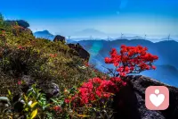 心，是接收器；智，是轉化器。“心智”的正確打開方式是接受、認知、理解、轉化的循環升華。轉化即生命的蛻變。配圖