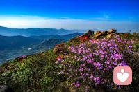 心，是接收器；智，是轉化器。“心智”的正確打開方式是接受、認知、理解、轉化的循環升華。轉化即生命的蛻變。配圖