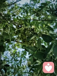 不要拿好與壞、對與錯來審視自己，拿有沒有覺察到現在的自己正在干嘛，讓自己始終處于在不斷地發現自己的狀態之下，從而得到一顆活在當下的心智，這已經是一個生命所能擁有的最好狀態了。配圖