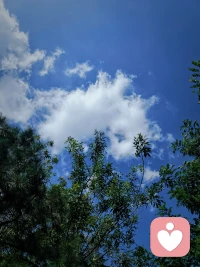 不要拿好與壞、對與錯來審視自己，拿有沒有覺察到現在的自己正在干嘛，讓自己始終處于在不斷地發現自己的狀態之下，從而得到一顆活在當下的心智，這已經是一個生命所能擁有的最好狀態了。配圖