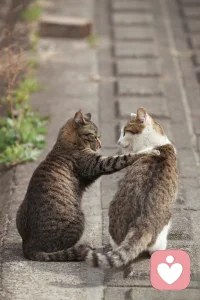 有趣的人，會吸引有趣的關(guān)系愿你始終保持對生命的熱忱和喜愛，成為一個(gè)有趣的人。如果你想更好地成為自己，陪你一起探索成長～配圖