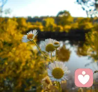 精神上的慰藉，勝過物質上的給予。好的感情就是讓一個人住進你的心里，空閑的時候是你心靈的歸宿，忙碌起來的時候是你前進的動力，可以隨時打擾的人，有一個就足夠了。配圖
