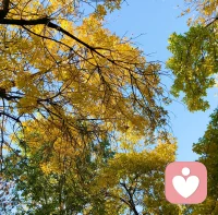 相由心生”的另一種詮釋是：通過改變心智去改變對這個世界的認知從而自己掌控自己的人生軌跡。配圖