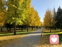 相由心生”的另一種詮釋是：通過改變心智去改變對這個世界的認知從而自己掌控自己的人生軌跡。配圖