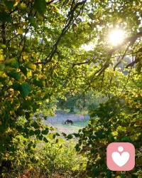 愿你：日出有盼，日落有念，有衣曖身，有人暖心。????配圖