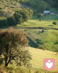 愿你：日出有盼，日落有念，有衣曖身，有人暖心。????配圖